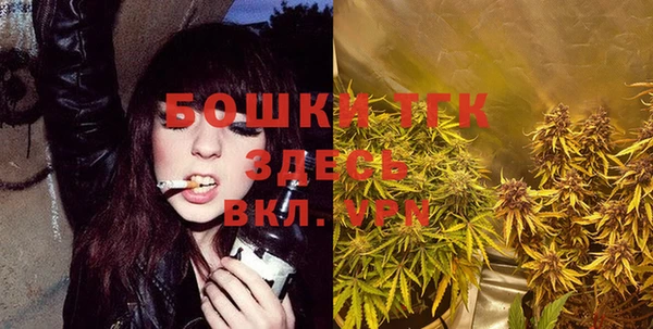 индика Абаза