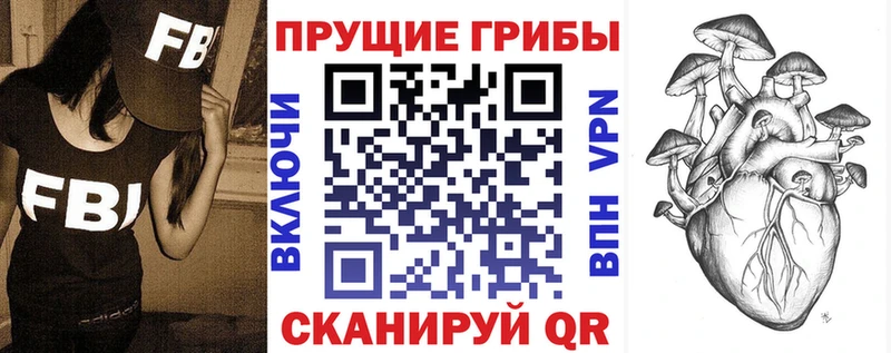 Галлюциногенные грибы мицелий  что такое   Тихвин 